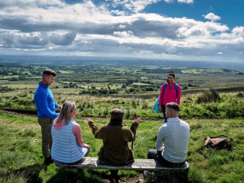 Untitled design (16)