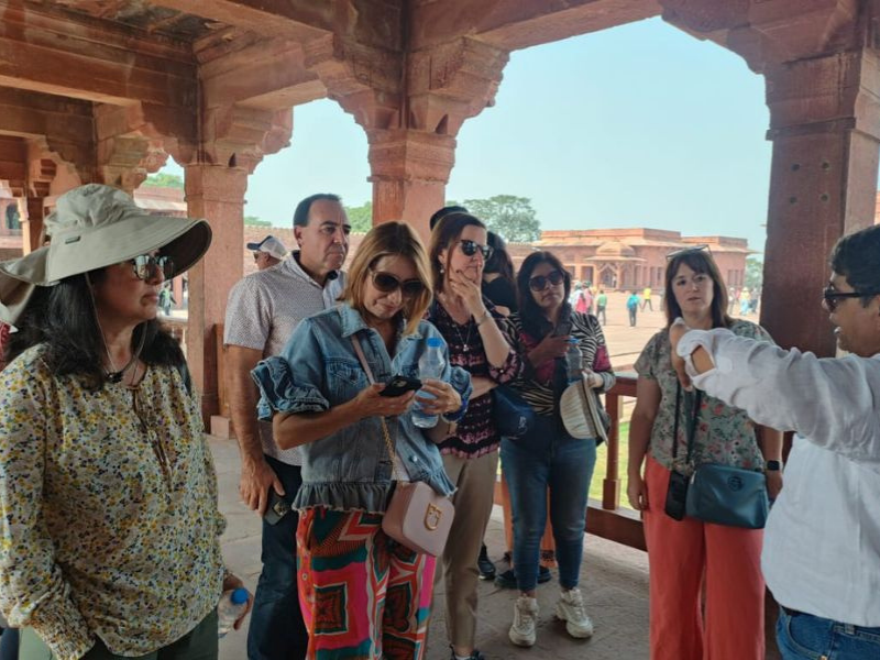 Untitled design (17)